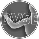 Logo DVSE